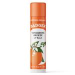 Classic Lip Balm Stick: Tangerine Breeze